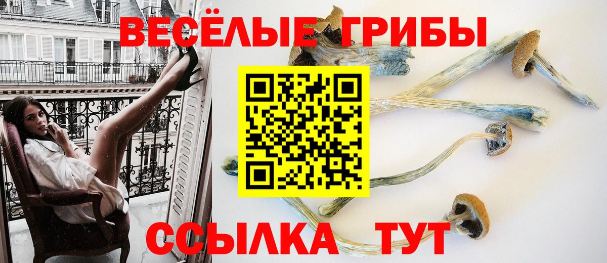 Alpha-PVP Рыбинск